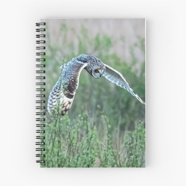 Item preview, locked on target designed and sold by tammy mellor.