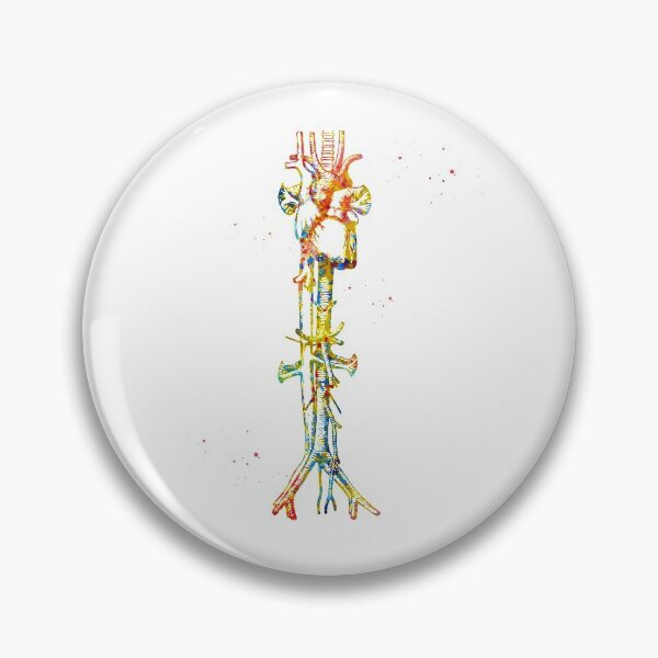 Item preview, Aorta vein and heart designed and sold by Liededrom..