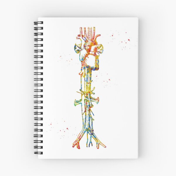Item preview, Aorta vein and heart designed and sold by Liededrom..