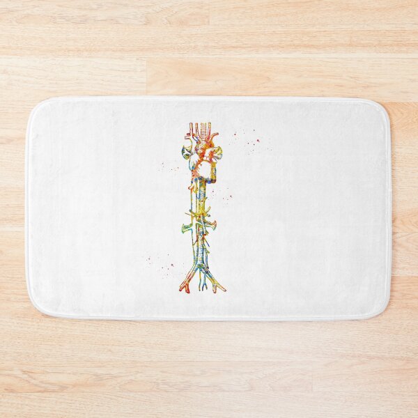 Item preview, Aorta vein and heart designed and sold by Liededrom..