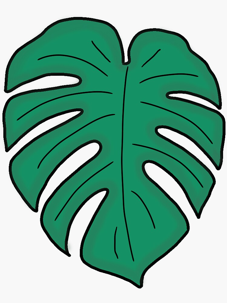 Monstera Leaves Vector Sticker Clipart Monstera Leaf - vrogue.co