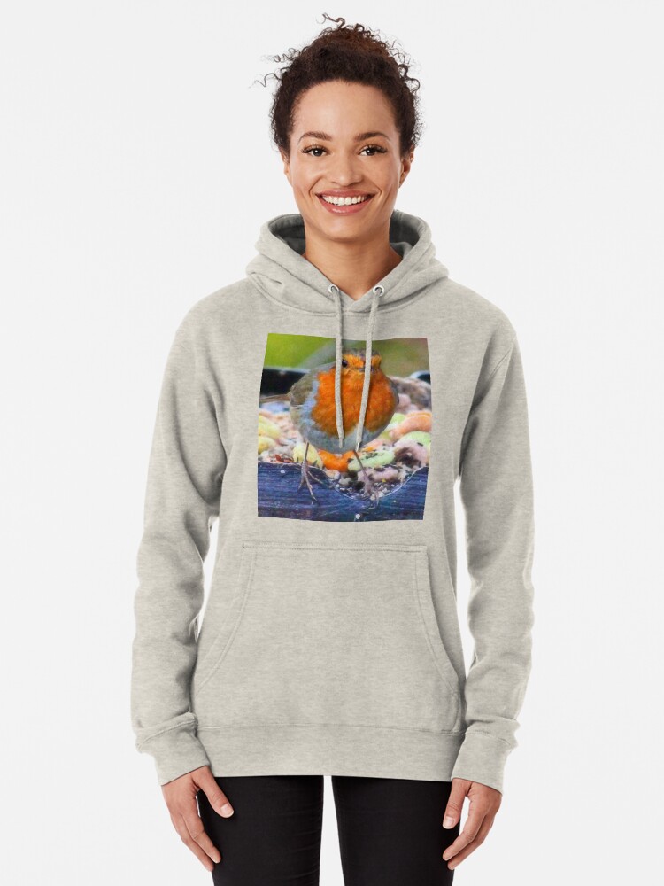 red robin hoodie