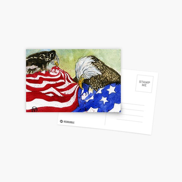 America Divided Postcard