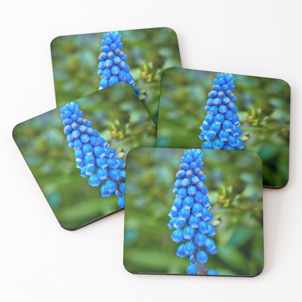 Item preview, Grape Hyacinth designed and sold by MLP Fine Art.