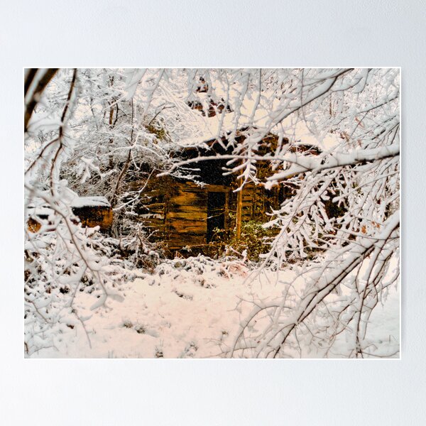 Item preview, Sanctuary designed and sold by Miles Moody.