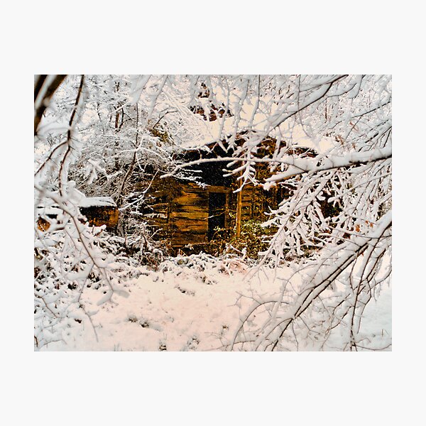 Item preview, Sanctuary designed and sold by Miles Moody.