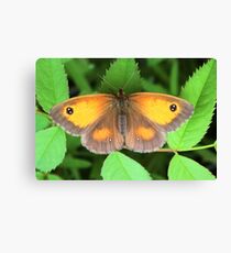 GateKeeper Canvas Print