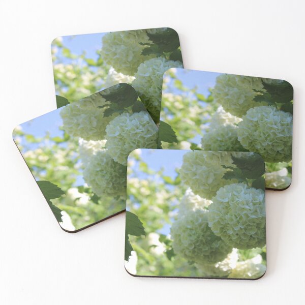 Item preview, Viburnum flowers photography designed and sold by SveaLeona.