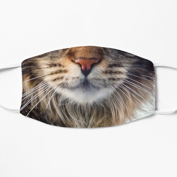 Maine Coon Cat Face Mask Mask