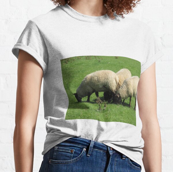 Merch #77 -- Sheep - Shot 3 (Hadrian's Wall) Classic T-Shirt