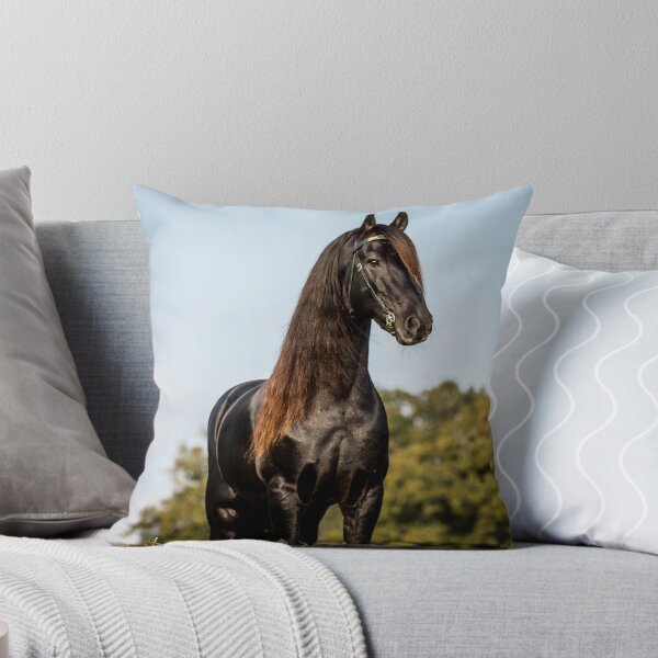 Item preview, The Friesian Experience - Stallion Droomie designed and sold by Blackhorsesltd.