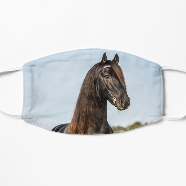 The Friesian Experience - Stallion Droomie Mask