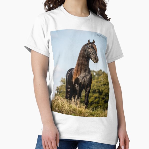 Item preview, The Friesian Experience - Stallion Droomie designed and sold by Blackhorsesltd.