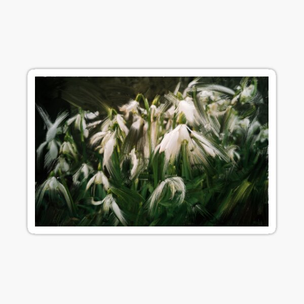 Snowdrops Gifts & Merchandise Redbubble