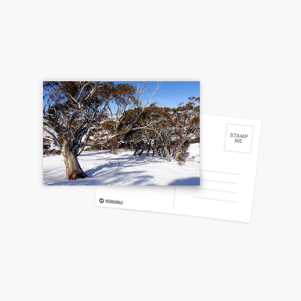 Item preview, Snow gums  designed and sold by geophotographic.