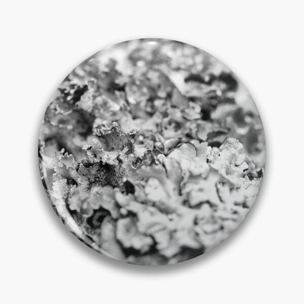 Item preview, The miniature world of Lichen  designed and sold by Lanean.