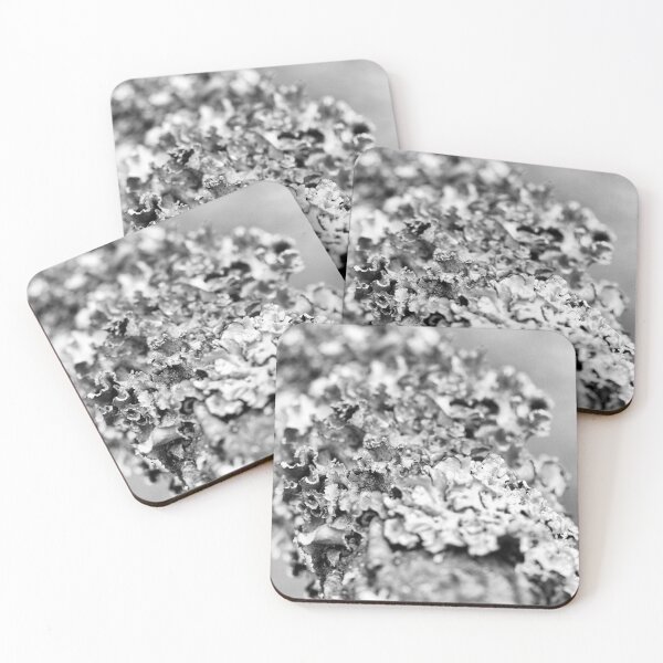 Item preview, The miniature world of Lichen  designed and sold by Lanean.