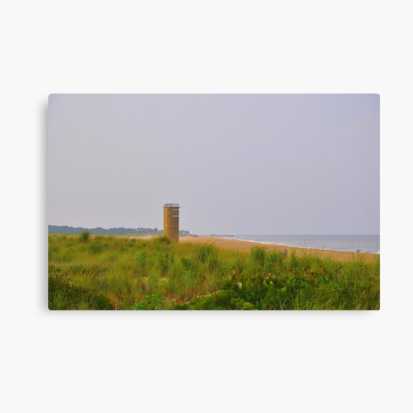 Standing Guard Canvas Print