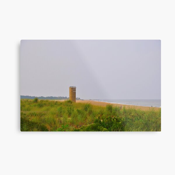Standing Guard Metal Print