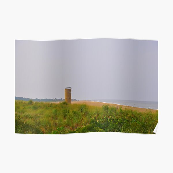 Standing Guard Poster
