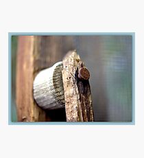 HANDLE Photographic Print