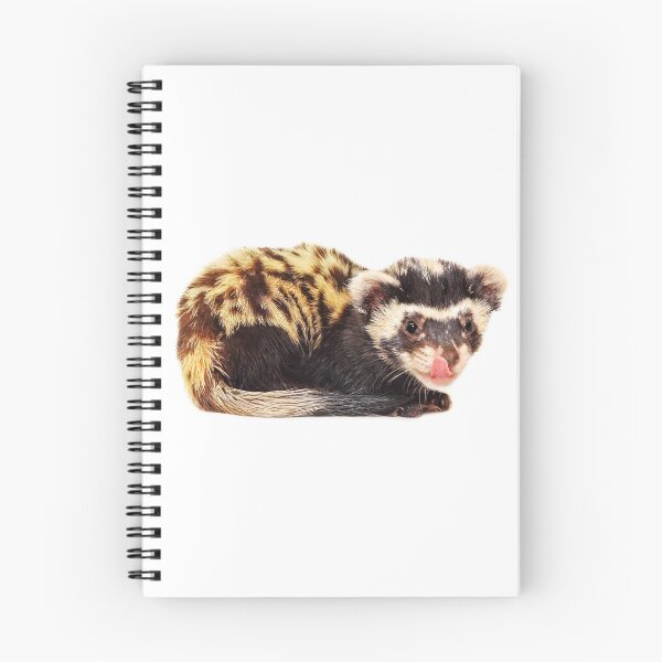Item preview, Marbled polecat (Vormela peregusna) licking her lips on white background. designed and sold by IaroslavB.