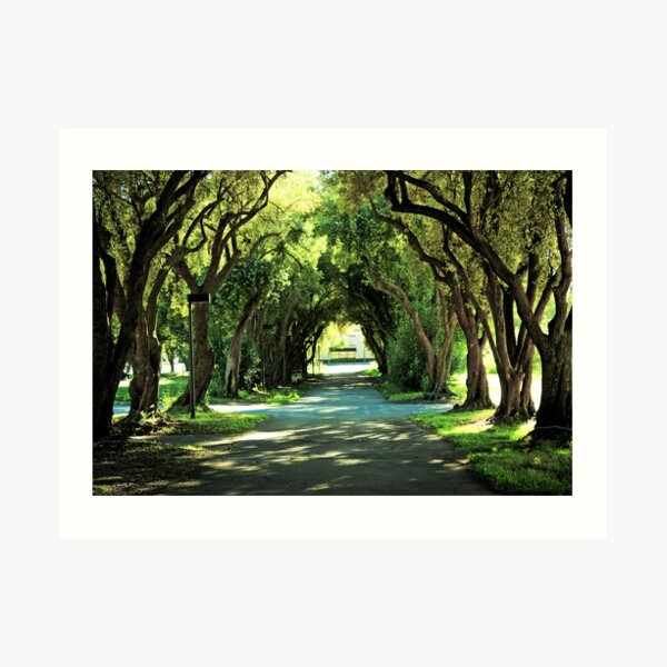 Ohlone College Walkway Art Print