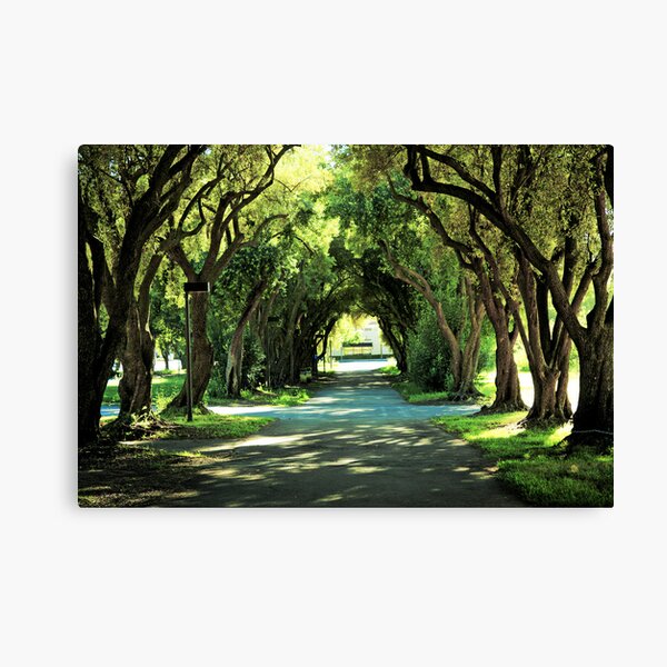 Ohlone College Walkway Canvas Print