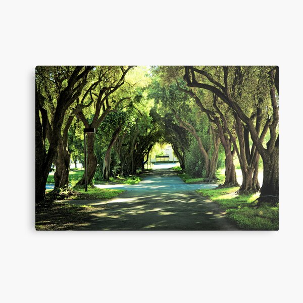 Ohlone College Walkway Metal Print