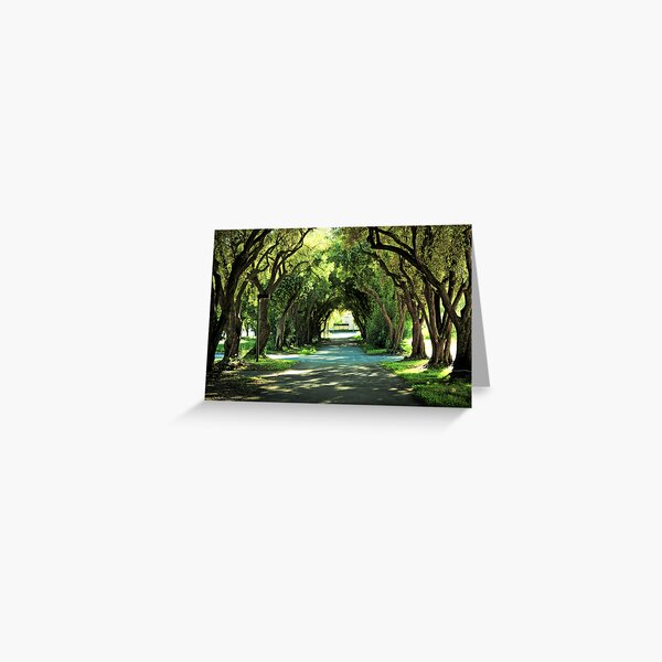 Ohlone College Walkway Greeting Card