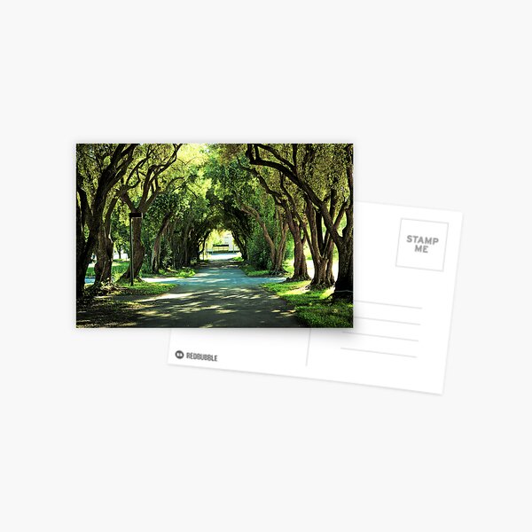 Ohlone College Walkway Postcard