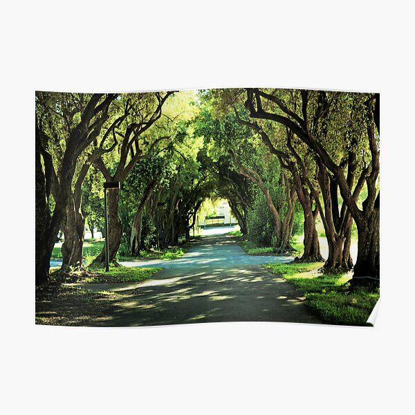 Ohlone College Walkway Poster