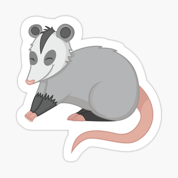 Possum Sticker By Wildelights Redbubble