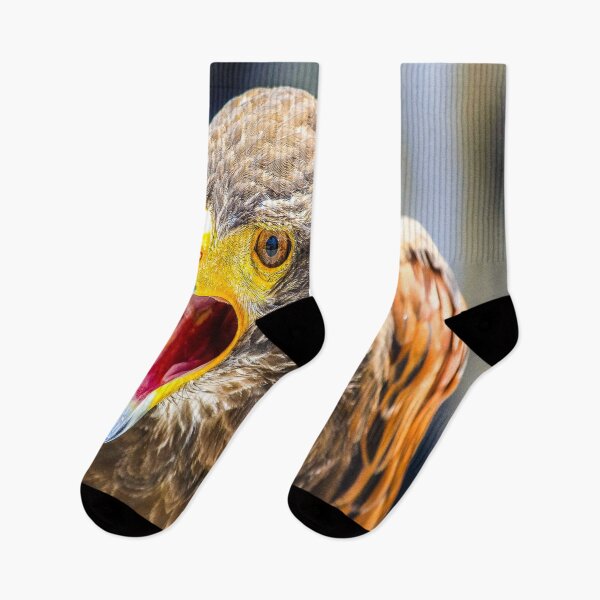 Item preview, fwc 1149 bird of prey designed and sold by fred chiea.