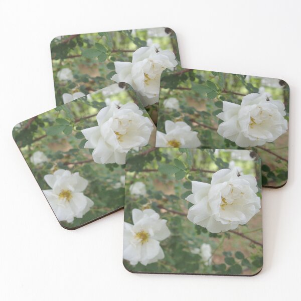 Item preview, White Wild Roses designed and sold by LadyRachelJ.