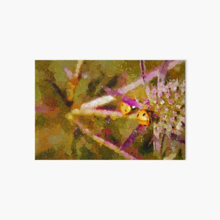 Two Ladybirds meet on a Sea Holly Flower Art Board Print