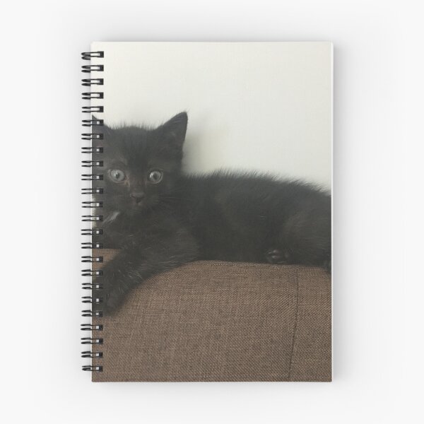 Item preview, Black kitten designed and sold by 2ZANY.