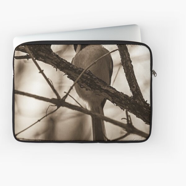 Item preview, To fly or not to fly...that might be the question. designed and sold by photobyjr.