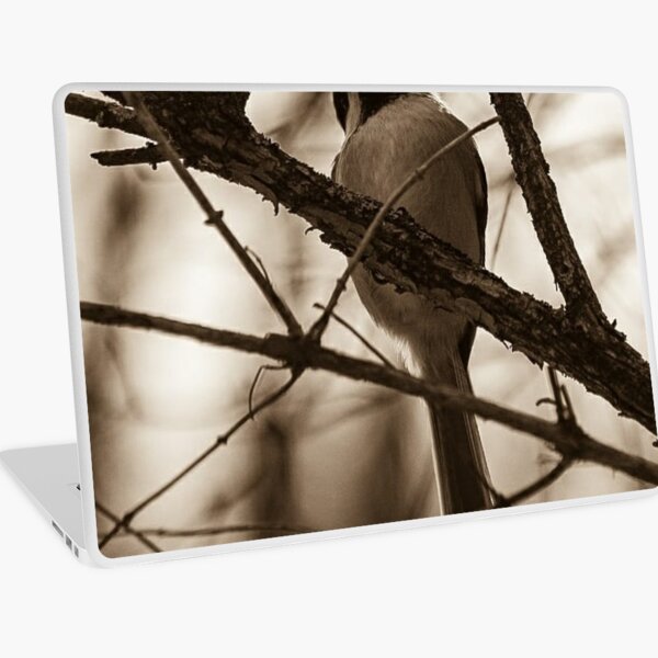 Item preview, To fly or not to fly...that might be the question. designed and sold by photobyjr.
