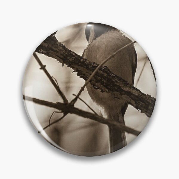 Item preview, To fly or not to fly...that might be the question. designed and sold by photobyjr.