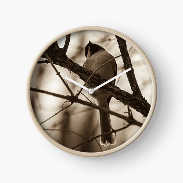 Item preview, To fly or not to fly...that might be the question. designed and sold by photobyjr.