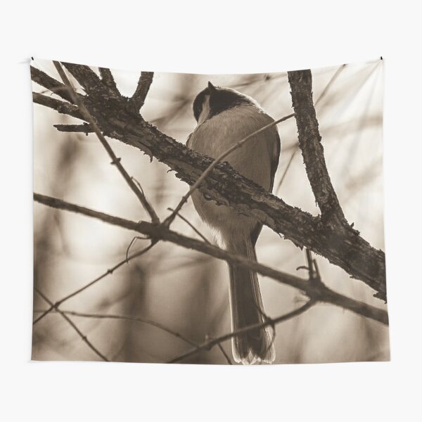 Item preview, To fly or not to fly...that might be the question. designed and sold by photobyjr.