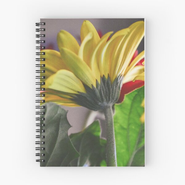 Item preview, Yellow Daisy designed and sold by DonnaMariePhoto.