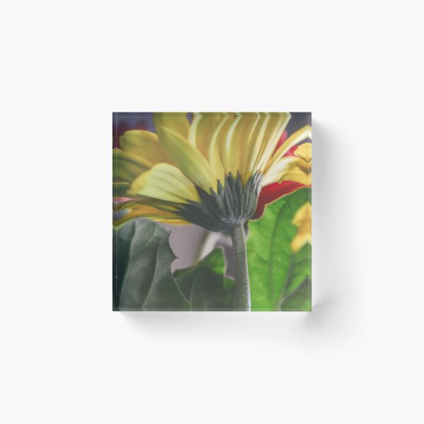 Item preview, Yellow Daisy designed and sold by DonnaMariePhoto.