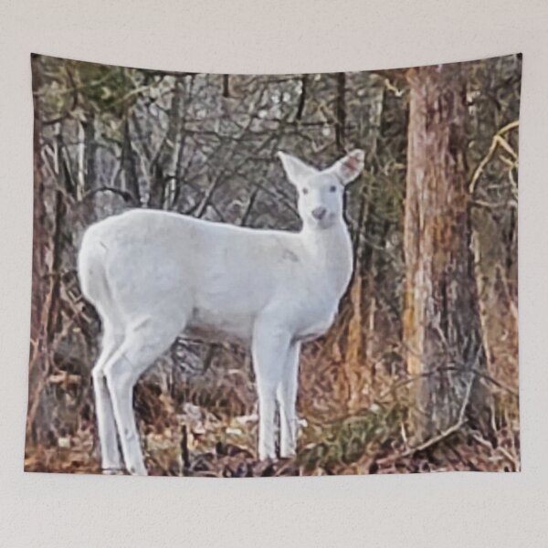 Item preview,  Deer saying hi designed and sold by photobyjr.