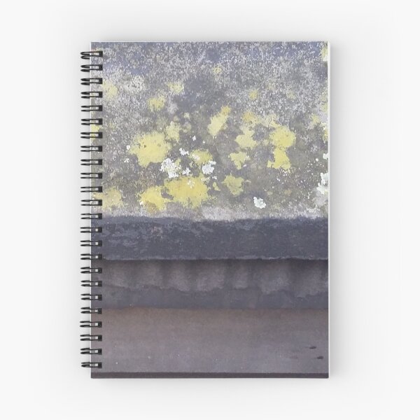 Item preview, Lichen ledge designed and sold by armadillozenith.