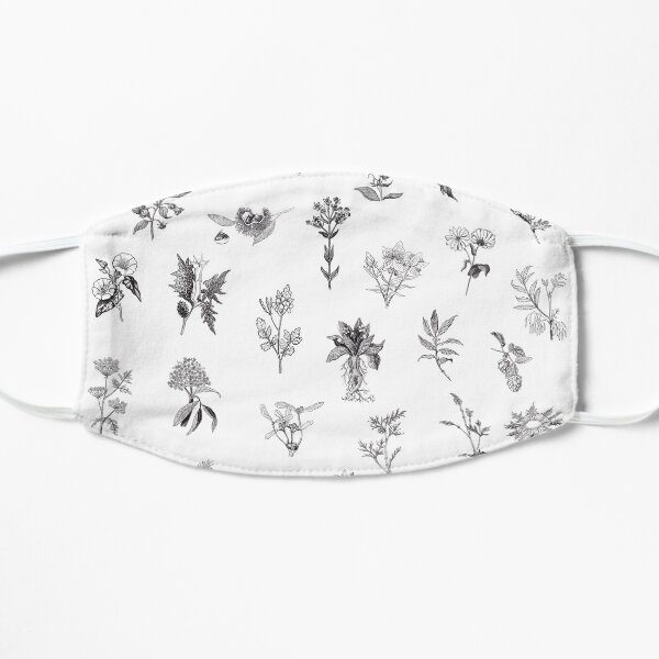 Witch plants Mascarilla plana