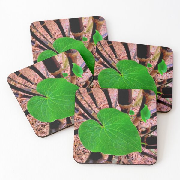 Item preview, ‘Awa hiwa by Hawaiian Kava Center LLC in Kahalu‘u, O‘ahu, Hawai‘i designed and sold by hawaiiankava.