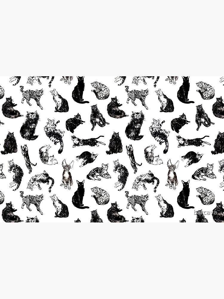 Kitty Kitty, bang-bang! de barcava