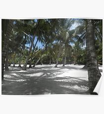 Saona Island Poster